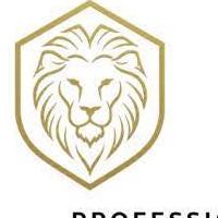 Lowen Limited Logo